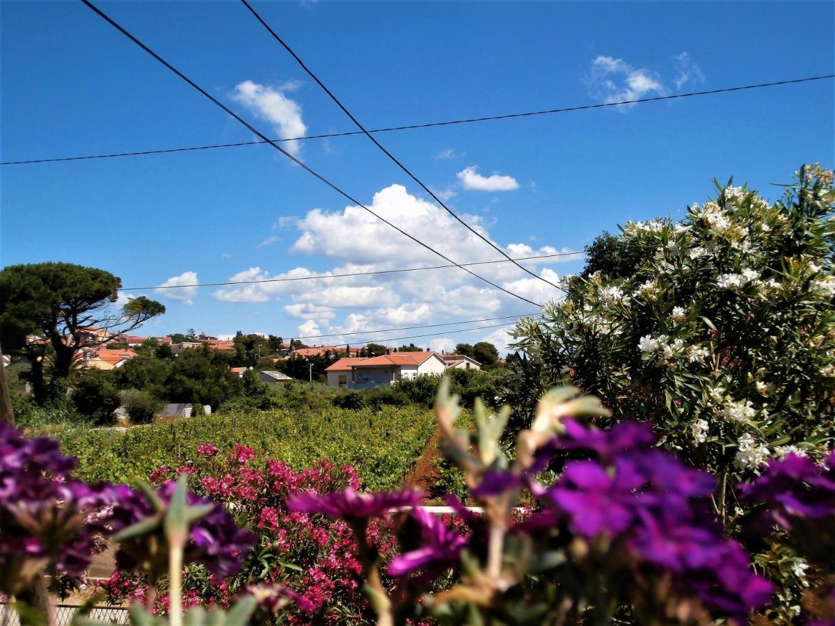 Apartment Agava Istria - Family Vacation Rental With Free Parking, Garden, Wifi Liznjan Exterior photo